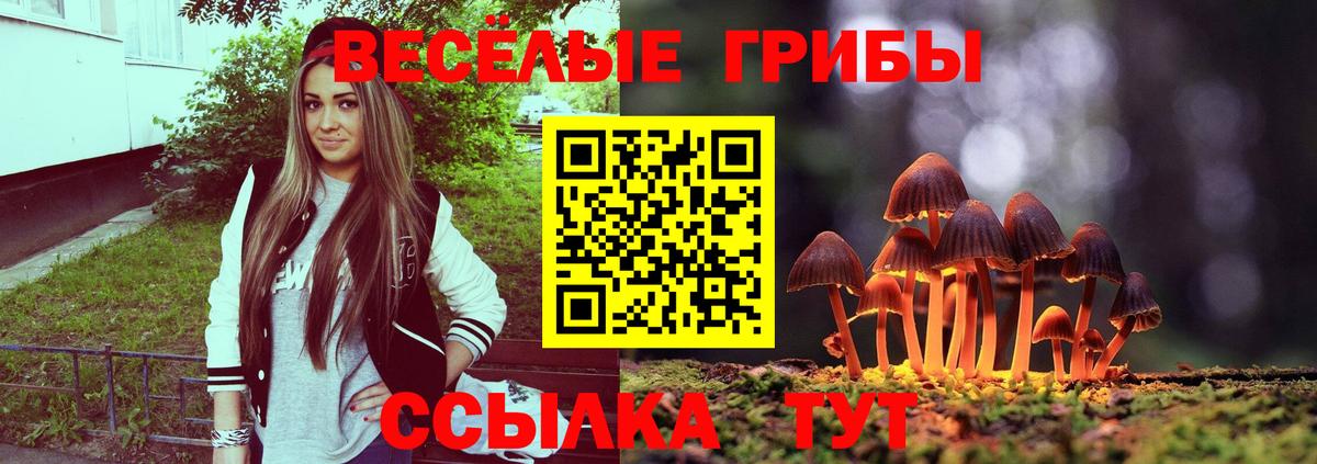 Галлюциногенные грибы GOLDEN TEACHER  Вход с VPN  Ульяновск 
