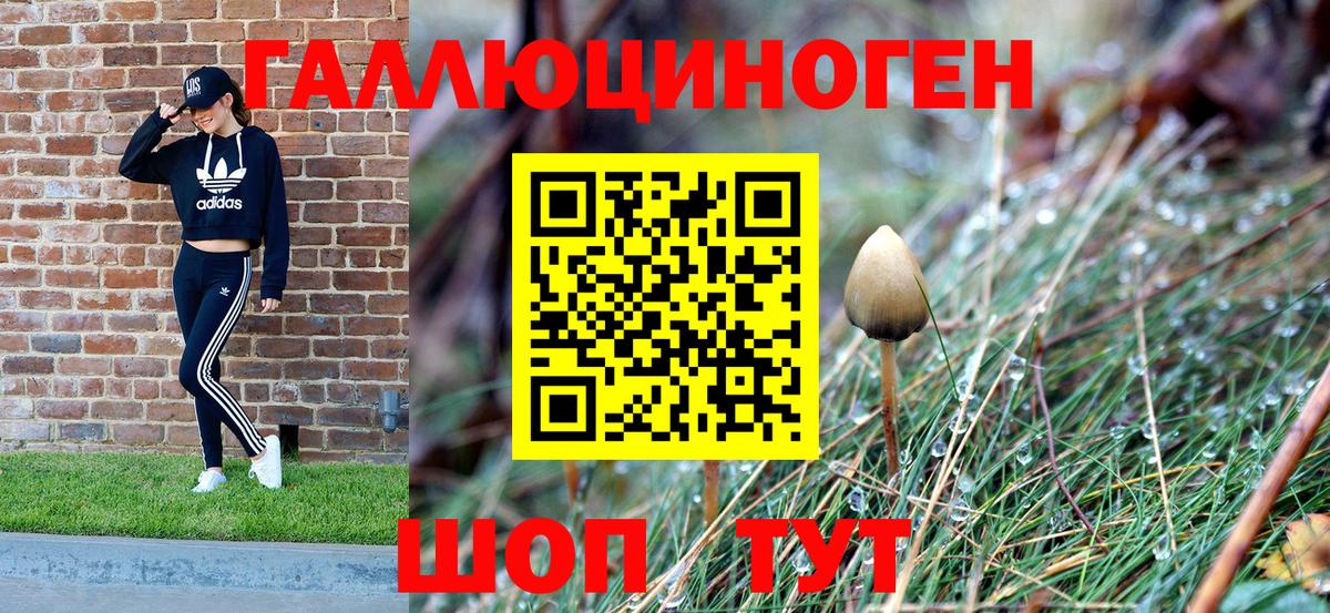 Галлюциногенные грибы ЛСД Ульяновск